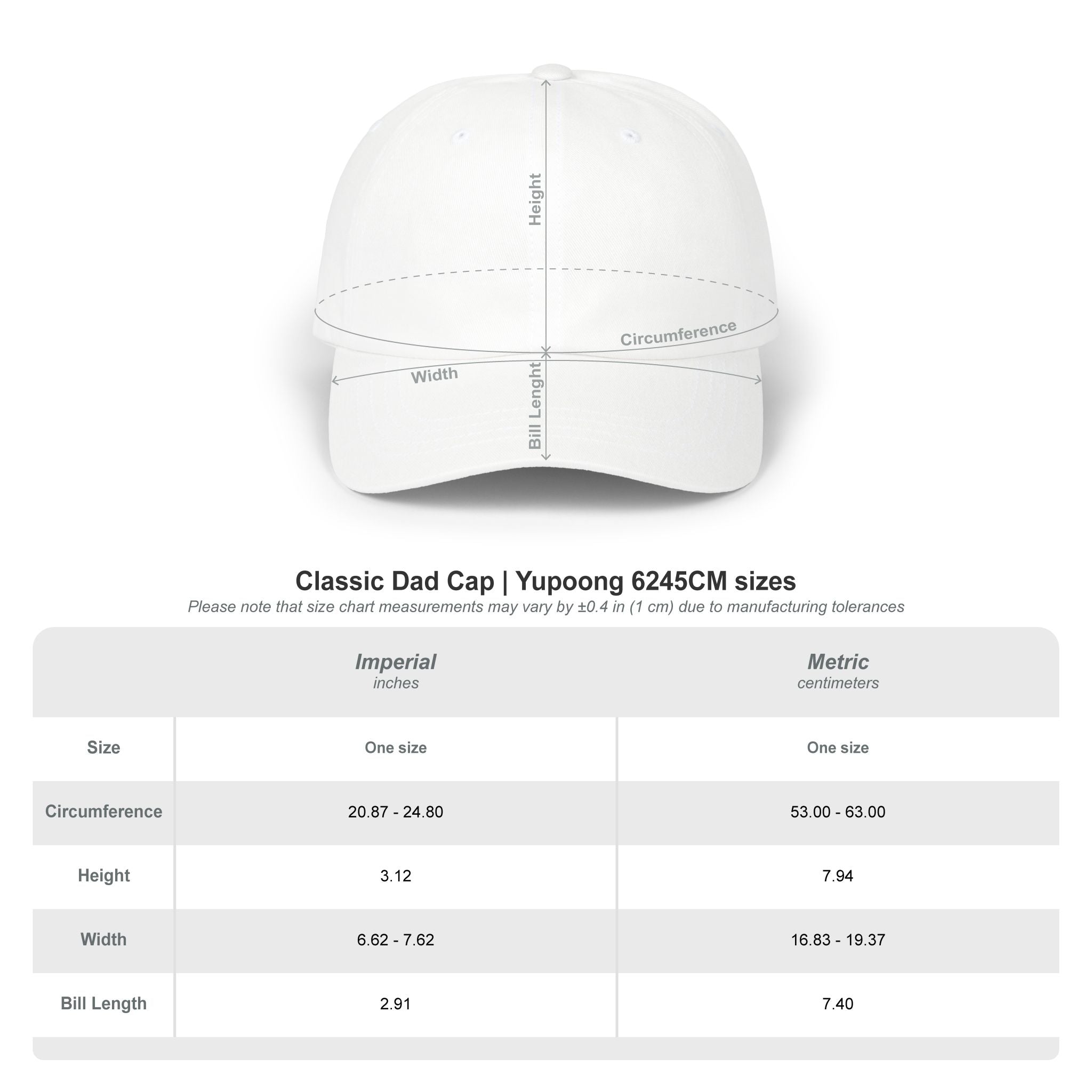 Skater Gecko Classic Dad Cap (Black)